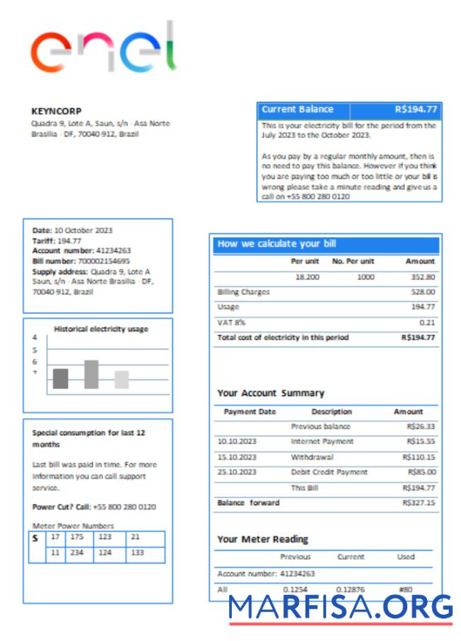 Blank Enel Brazil electricity utility business bill, SCR example
